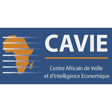 La CAVIE (Centre Africain de Veille et d’Intelligence Économique) désigne Romain Battajon comme président de la Commission droit des T.I.C. (Technologies de l’Information et des Communications) et Compétitivité